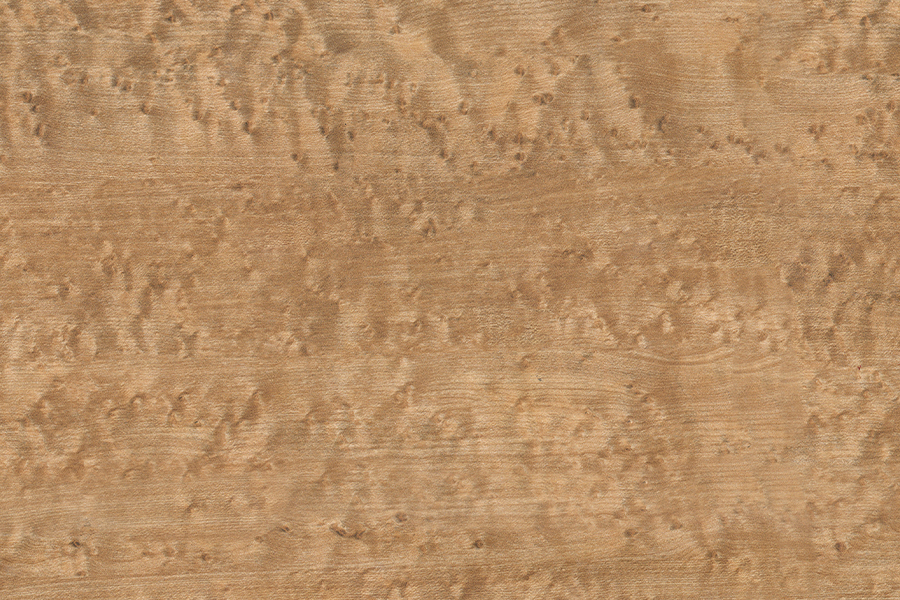 Película decorativa impresa de PVC de grano de madera de color claro